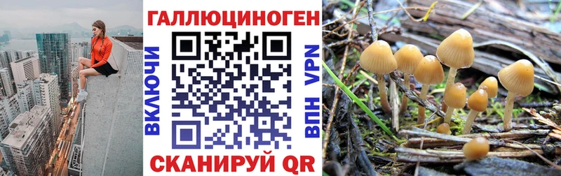 Псилоцибиновые грибы Magic Shrooms  Купить закладки  Горбатов 